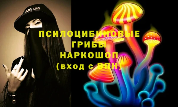сатива Алексин