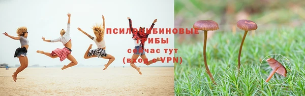 ALPHA PVP Алзамай