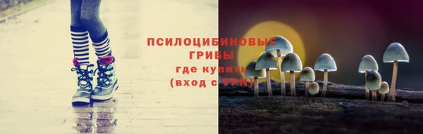 крисы Алексеевка