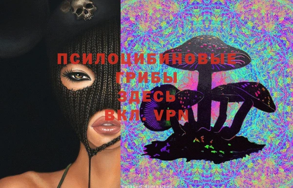 сатива Алексин
