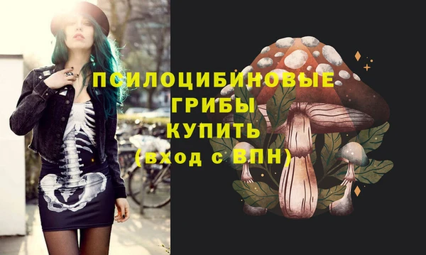 крисы Алексеевка