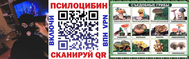 Псилоцибиновые грибы GOLDEN TEACHER  хочу наркоту  Карабаш 